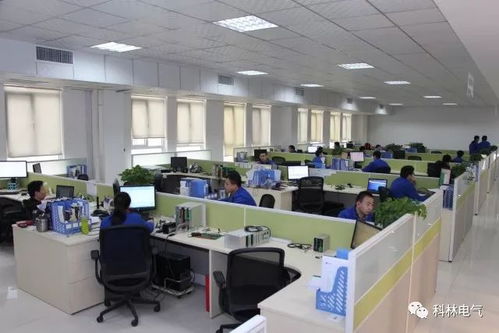 建優(yōu)質(zhì)項目 鑄精品工程——走進科林電力工程總承包的卓越工程管理服務(wù)