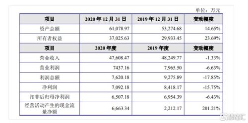 金智教育聚焦高等教育信息化，2020年營收達4.7億元，核心業務為信息系統集成服務