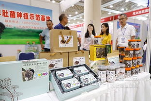 魚臺79家企業亮相省城，生態農產品與保潔服務雙星閃耀